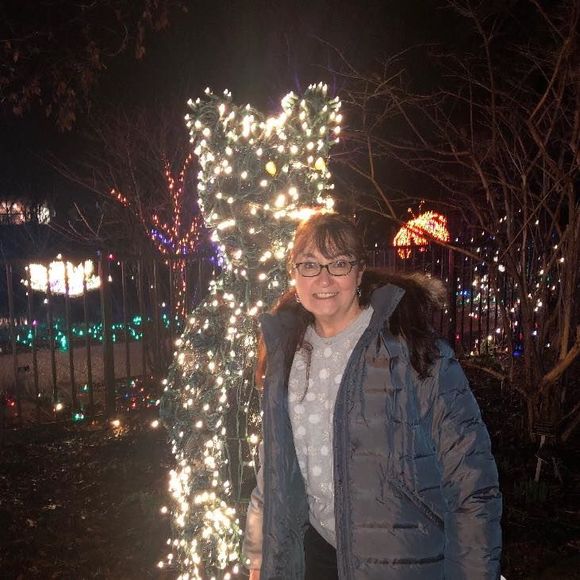 Meet your Posher, Ginger - Picture 1 of 1